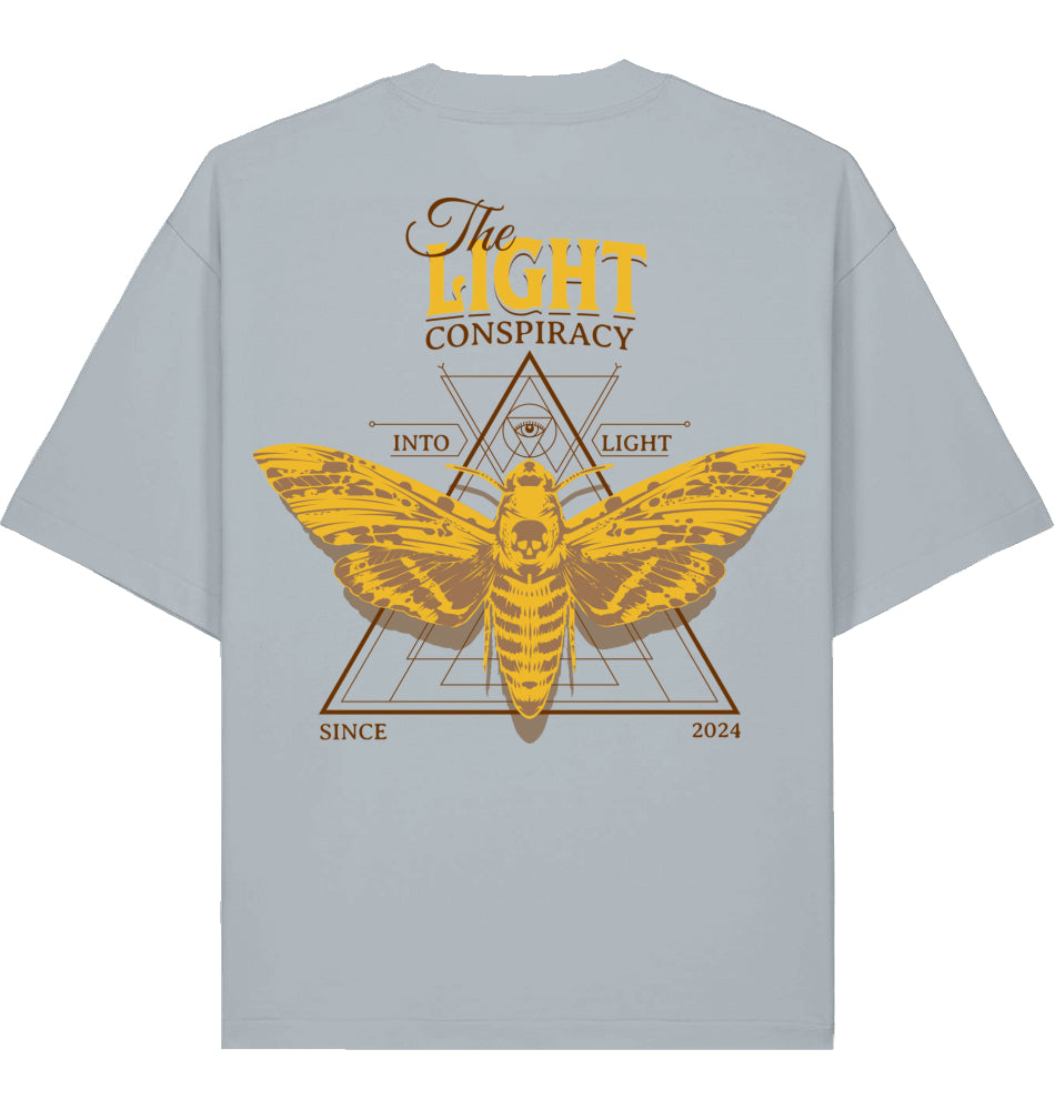 Boxy T-Shirt - Moth Dust